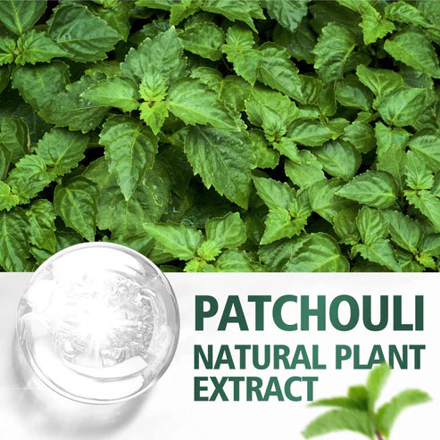 100ml/60ml/30ml Patchouli essential oil Hydrating Moisturizing Skin Care Skin Care Body Care Fragrance Perfume essential oil